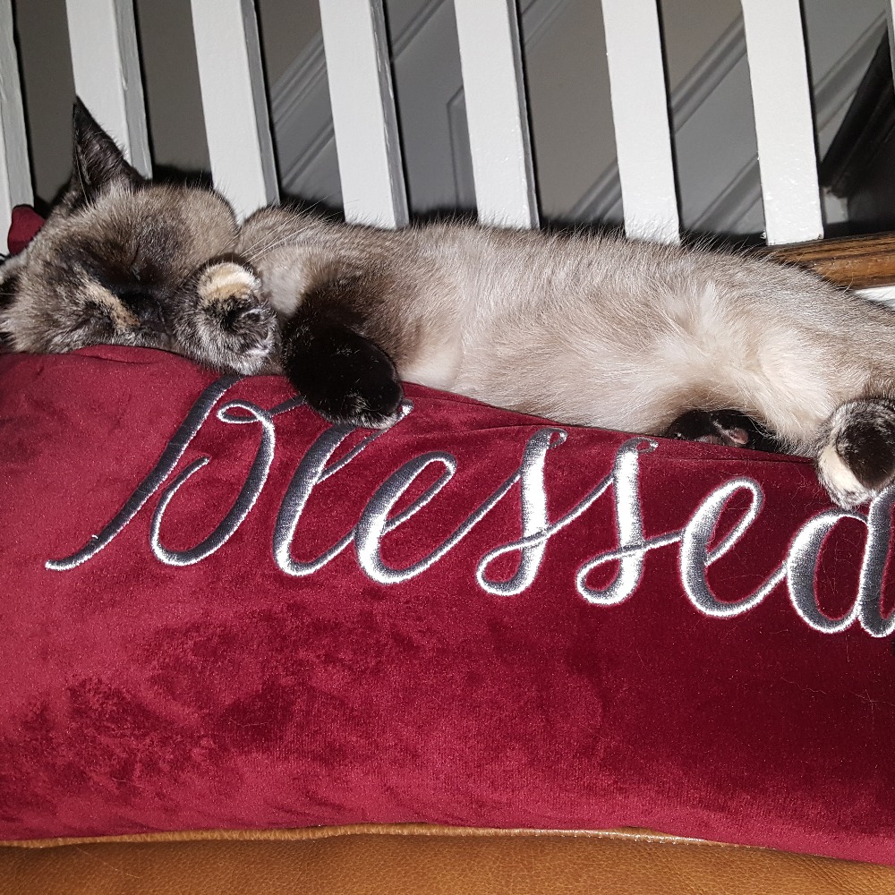 Meet your Posher, E rose